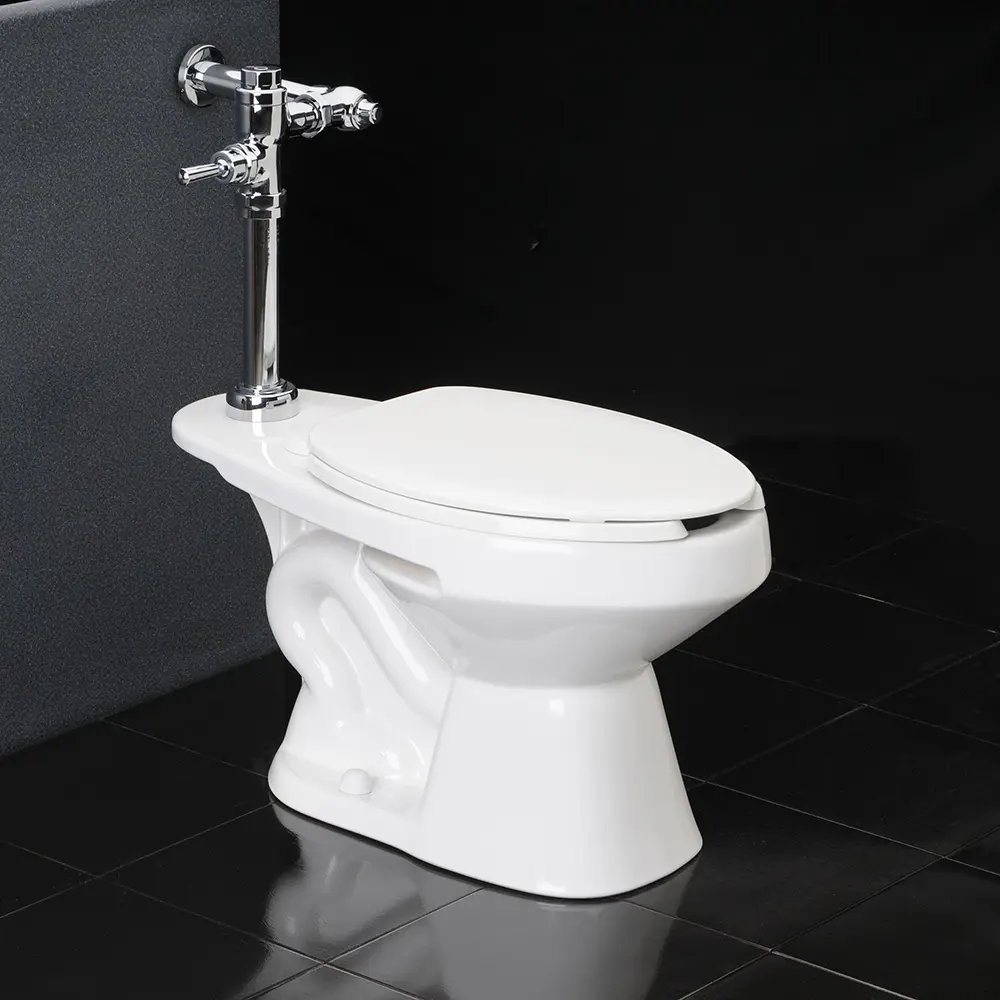 Fluxómetro de manija para Inodoro E365.22.4- FV